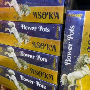 Flower Pots Ashoka